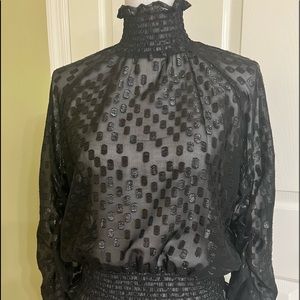 Beautiful Sheer Blouse